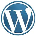 put adsense in wordpress.com