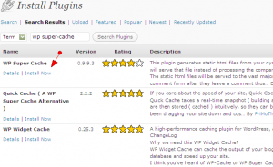 install wordpress plugins by search step 2