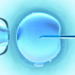 Vatican disapproves of Nobel Prize awarded to Robert Edwards for IVF research