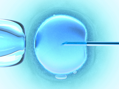 Vatican disapproves of Nobel Prize awarded to Robert Edwards for IVF research