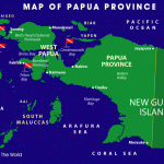 Unjuk Rasa di Papua Bakar Gedung Pemerintah