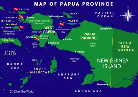 Unjuk Rasa di Papua Bakar Gedung Pemerintah