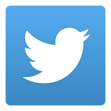 Twitter Remarks Leads to British Politician Arrest